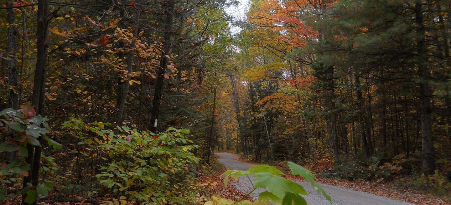 photo by Alan Conrad